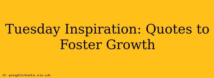 Tuesday Inspiration: Quotes to Foster Growth