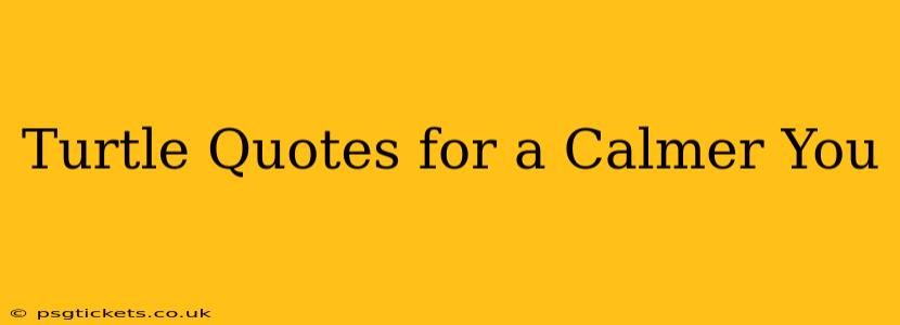 Turtle Quotes for a Calmer You
