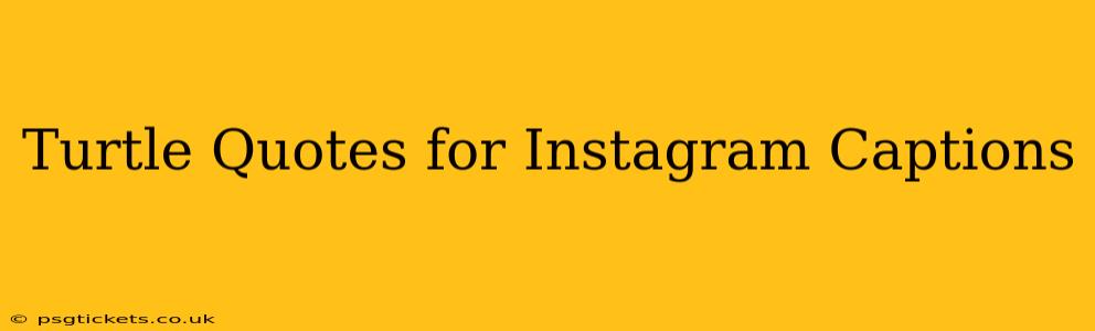 Turtle Quotes for Instagram Captions