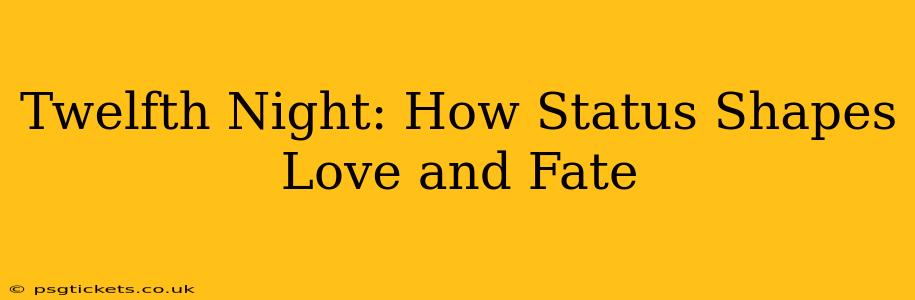 Twelfth Night: How Status Shapes Love and Fate