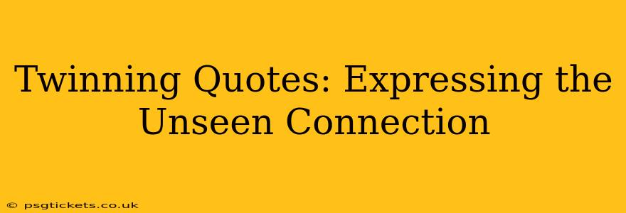 Twinning Quotes: Expressing the Unseen Connection