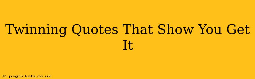 Twinning Quotes That Show You Get It