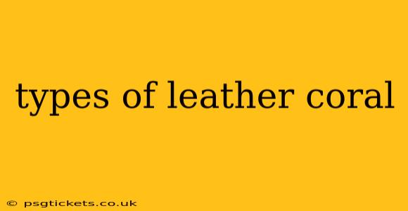 types of leather coral