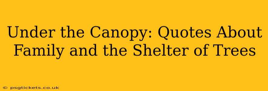 Under the Canopy: Quotes About Family and the Shelter of Trees