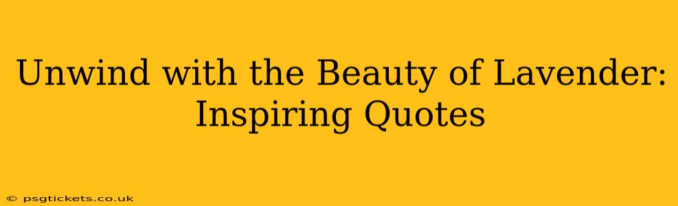 Unwind with the Beauty of Lavender: Inspiring Quotes