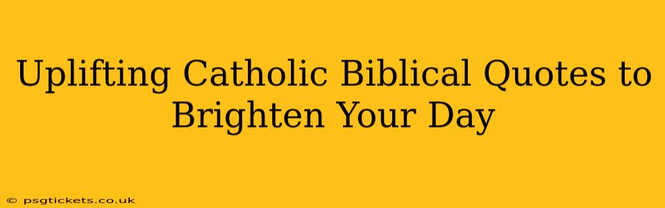 Uplifting Catholic Biblical Quotes to Brighten Your Day