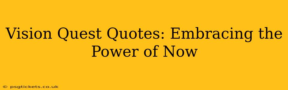 Vision Quest Quotes: Embracing the Power of Now