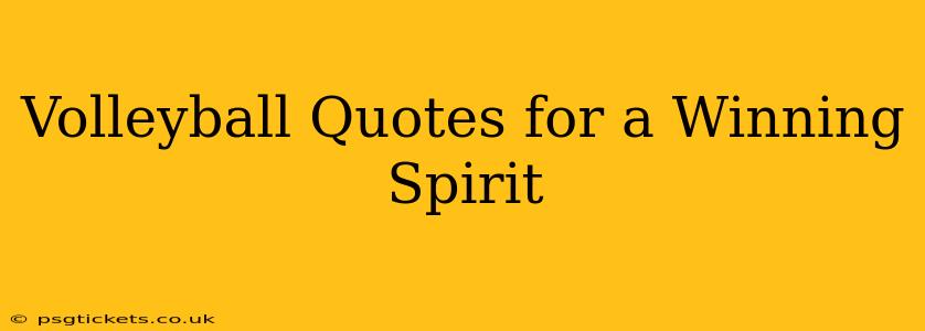 Volleyball Quotes for a Winning Spirit