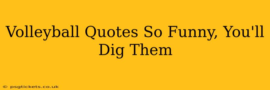 Volleyball Quotes So Funny, You'll Dig Them