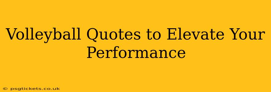 Volleyball Quotes to Elevate Your Performance