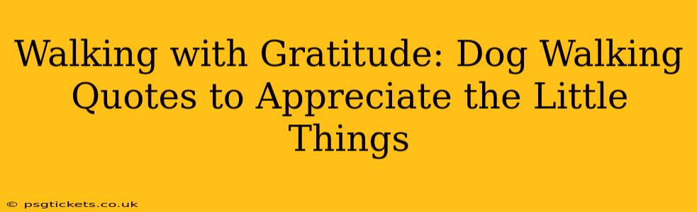 Walking with Gratitude: Dog Walking Quotes to Appreciate the Little Things