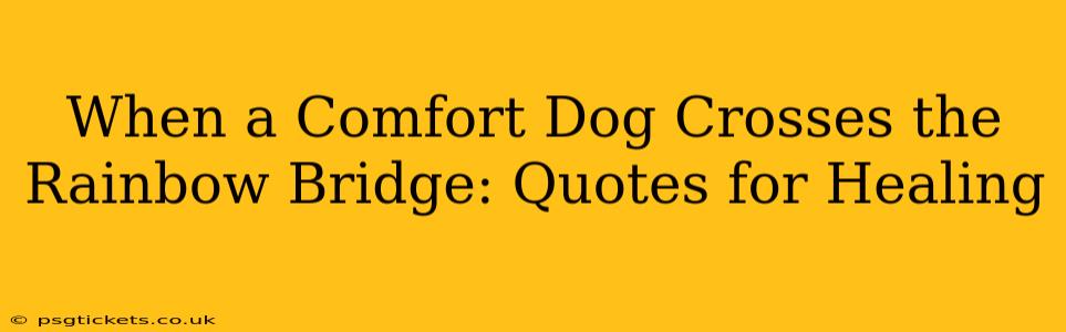 When a Comfort Dog Crosses the Rainbow Bridge: Quotes for Healing