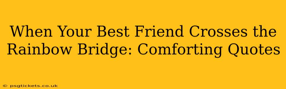 When Your Best Friend Crosses the Rainbow Bridge: Comforting Quotes