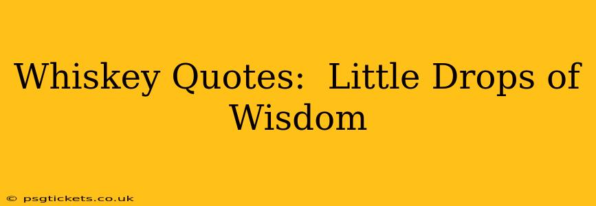 Whiskey Quotes:  Little Drops of Wisdom