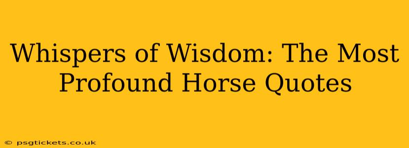Whispers of Wisdom: The Most Profound Horse Quotes