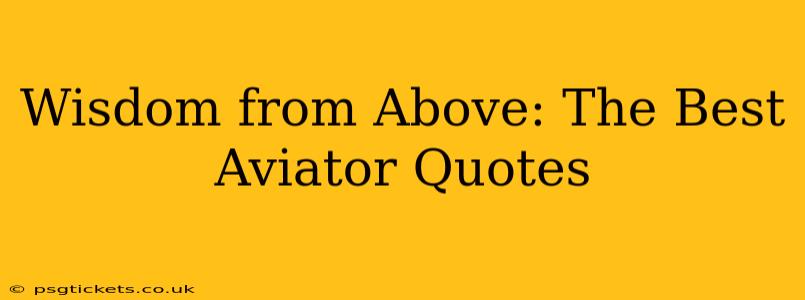 Wisdom from Above: The Best Aviator Quotes