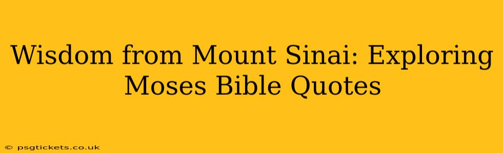 Wisdom from Mount Sinai: Exploring Moses Bible Quotes