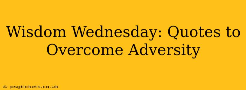 Wisdom Wednesday: Quotes to Overcome Adversity