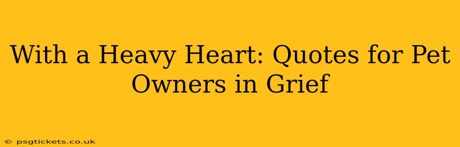 With a Heavy Heart: Quotes for Pet Owners in Grief