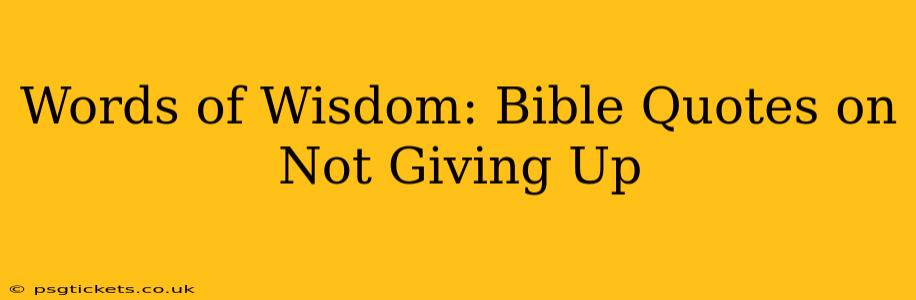 Words of Wisdom: Bible Quotes on Not Giving Up
