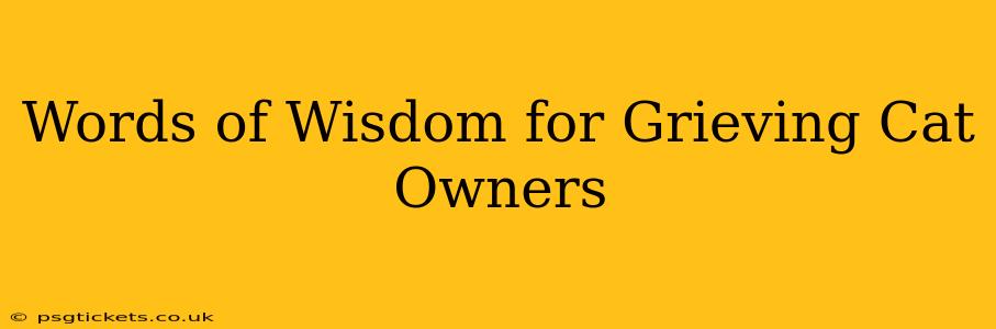 Words of Wisdom for Grieving Cat Owners