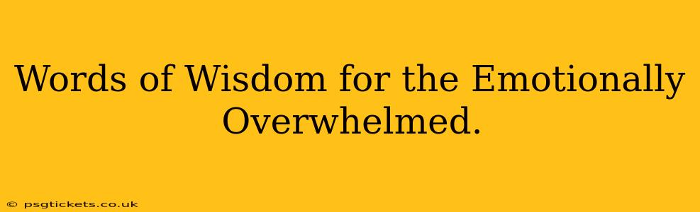 Words of Wisdom for the Emotionally Overwhelmed.