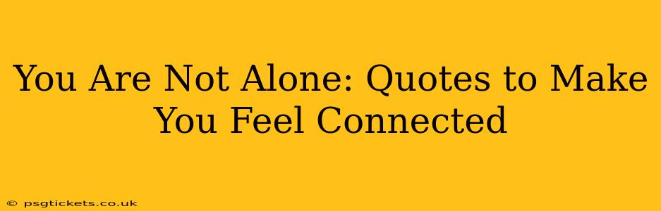 You Are Not Alone: Quotes to Make You Feel Connected